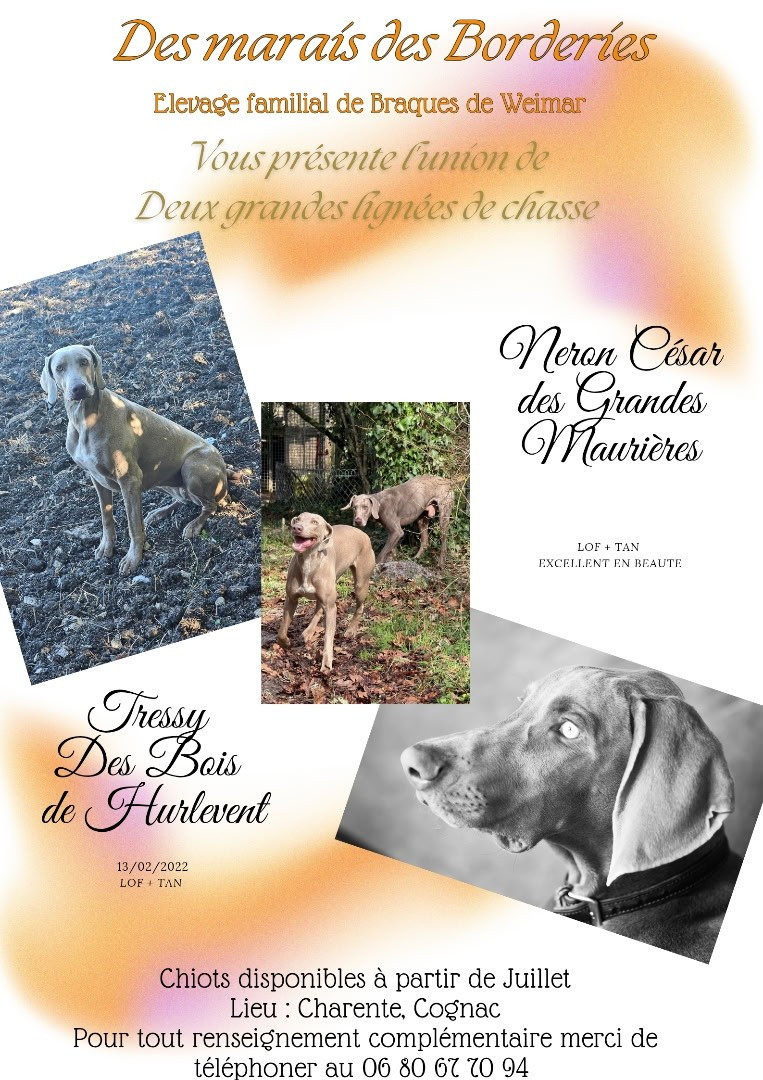 la Famille s'agrandit ...