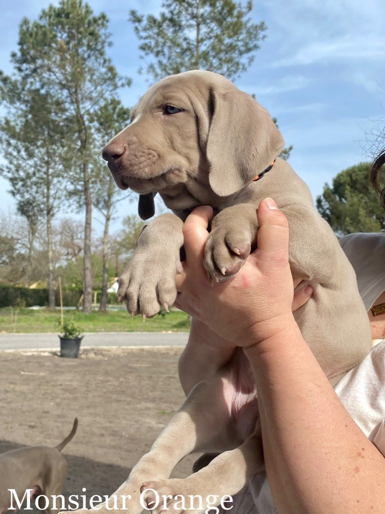 première sortie au soleil pour nos 12 bébés 